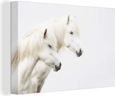 Zdjęcie produktu dla OneMillionCanvasses® - Obrazy na płótnie - 140x90 cm, Konie - Biały - Zwierzęta, grafika ścienna, dekoracja ścienna