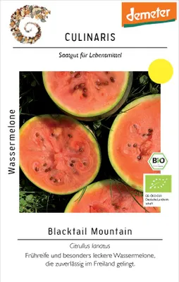 Artikelbild 2 von 'BIO Wassermelone Blacktail Mountain' aus der Kategorie Wassermelonensamen