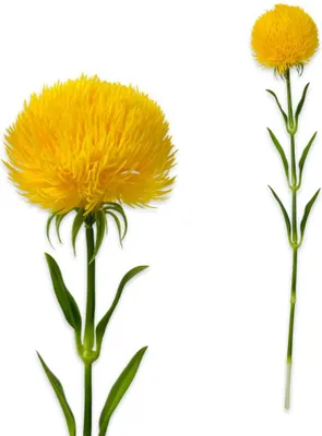 Immagine prodotto di Ramo di crisantemo Real Touch 51 cm giallo