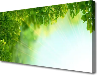 Produktbild von Tulup Leinwand-Bilder 100x50 Wandbild Canvas Kunstdruck Blätter Natur