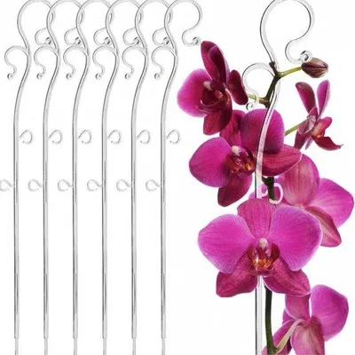 Productafbeelding van Famanu plantensteunen, PVC - Set van 6 transparante houders voor kamerplanten