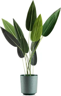 Produktbild von HowHomely | Pflanzkübel Aloe Texelle - 27 x 25,4 cm - Grün - Modernes Design, Pflegeleicht