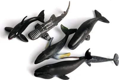 Image de 6 pièces/ensemble Jouets marins Animaux simulés Figurines de bain pour enfants Cadeau