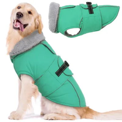 Immagine prodotto di Cappotto per cani, gilet invernale, riflettente, in pile, impermeabile, verde, taglia 2XL