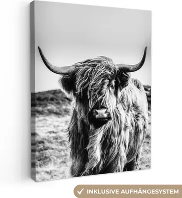 Obrázek produktu pro OneMillionCanvasses® - Plátno - Kráva - Skotský horal - Černá - Bílá - Zvíře - Příroda - Volně žijící zvířata, nástěnné umění, nástěnné dekorace Obývací pokoj, 90x120cm