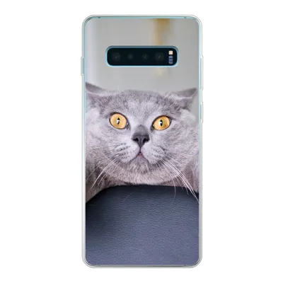 Produktbild von MuchoWow® Handyhülle Schutzhülle Hülle für Samsung Galaxy S10 Plus Katze - Angst - Stuhl Silikon Softcase Handy Hülle - Schutzhülle
