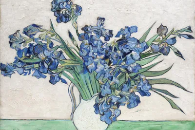 Image de Affiche 60 x 40 cm Iris 2, Van Gogh Vintage pour le salon