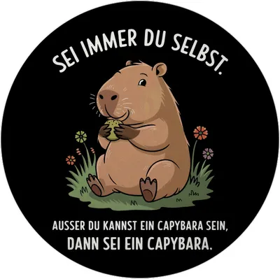 Produktbild von Capybara Motivation Magnet mit Flaschenöffner - sei immer du selbst