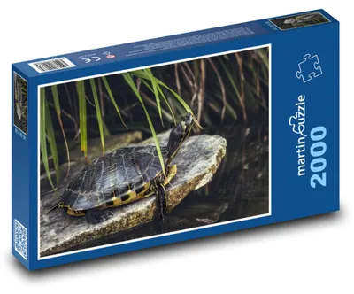 Obrázek produktu pro Puzzle 2000 Želva u rybníka - martinpuzzle