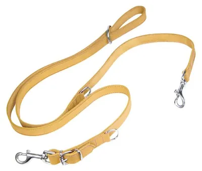 Image de Laisse pour chien Gloria Oasis Plus 2.1 x 200 cm Jaune