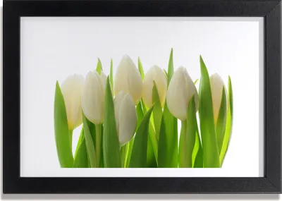 Produktbild von Bild 30x20 MDF-Rahmen, Wandkunst Tulpen