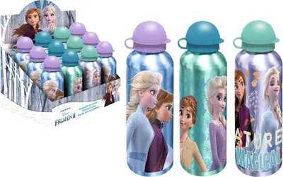 Obrázok produktu pre Hliníková fľaša Frozen CD2108 FR50002 55051