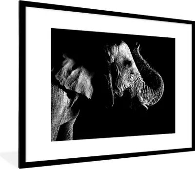 Produktbild von MuchoWow® Gerahmtes Poster Elefant mit seinem Rüssel auf einem schwarzen Hintergrund - schwarz und weiß 80x60 cm - Poster mit Schwarzem Bilderrahmen Wandposter Rahmen Foto Bilder - Schlafzimmer-Dekorationen - Fotoposter
