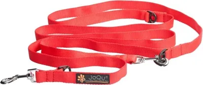 Image de JoQu Classic 250 cm rouge laisse réglable pour petits chiens
