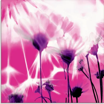 Produktbild von ARTland Glasbild Pusteblume abstrakt Größe: 50x50 cm