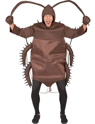A person wearing a cockroach costume.