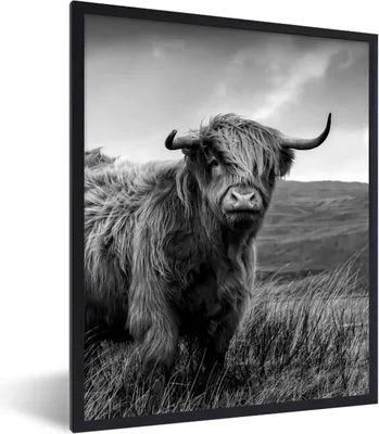 Produktbild von MuchoWow® Gerahmtes Poster Schottischer Highlander - Berg - Wasser - Natur - Kuh 60x80 cm - Poster mit Schwarzem Bilderrahmen Wandposter Rahmen Foto Bilder - Premium - Wanddeko Wohnzimmer