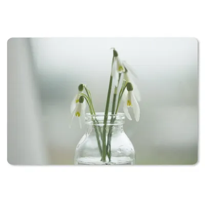 Produktbild von MuchoWow® Mauspad Mousepad Schneeglöckchen in einer transparenten Vase 27x18 cm - Mousepads - Maus Mat - Pad - Mausunterlage - Büroartikel - Desk Matten