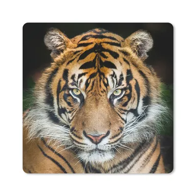 Produktbild von MuchoWow® Mauspad Mousepad Tiger - Schwarz 20x20 cm - Mousepads - Maus Mat - Pad - Mausunterlage - Desk Mat - Bureauartikeln