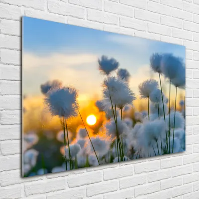 Produktbild von Tulup® Glas-Bild - 100 x 70 - Wandbild aus Glas - Wandkunst - Wandbild hinter gehärtetem Sicherheitsglas - Blumen & Pflanzen - Wollgras - Weiß