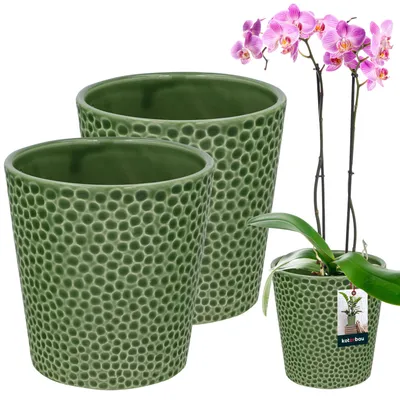 Produktbild von KOTARBAU® Sada 2 kvetináčov zelený keramický glazovaný ⌀ 9,5 cm Výška: 11 cm Kvetináč na orchideu keramický kvetináč keramický kvetináč keramický kvetináč kvetináč moderné kvetináče izbové rastliny