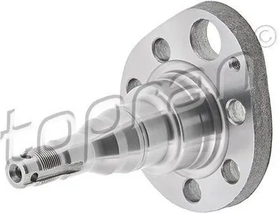 Produktbild von TOPRAN Achszapfen 102 819 Hinten Links für VW GOLF III (1H1)