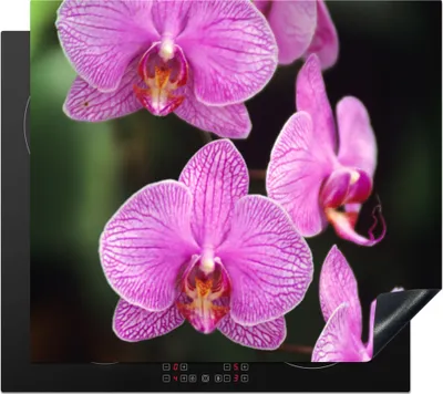 Produktbild von KitchenYeah© Herdabdeckplatte Rosa Orchidee , 59x52cm, Küche Deko, Glaskeramikkochfeld Herdabdeckung, Abdeckplatte fùr Kochfeld