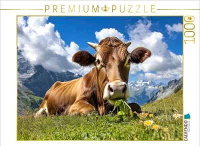 Produktbild von CALVENDO Puzzle So macht das Kauen Spaß | 1000 Teile Lege-Größe 64x48cm Foto-Puzzle für glückliche Stunden