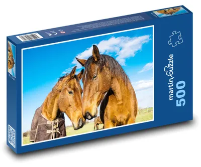 Obrázek produktu pro martinpuzzle - Puzzle 500 - Koně