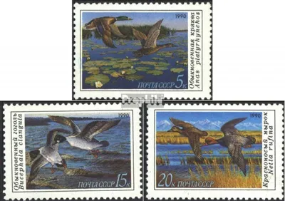 Produktbild von Briefmarken Sowjetunion 1990 Mi 6099-6101 (kompl.Ausg.) postfrisch Enten
