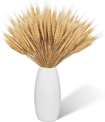 Zdjęcie produktu dla Suszone kwiaty pszenicy, 100 sztuk, 43 cm, naturalna dekoracja do domu