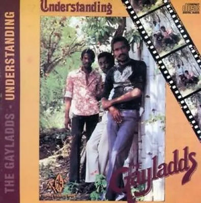 Produktbild von Understanding CD (1998)