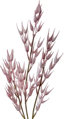 Obrázek produktu pro Clayre & Eef Kunstblume 72 cm Rosa Kunststoff