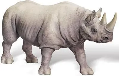 Produktbild von RAVENSBURGER tiptoi® Spitzmaulnashorn-Bulle