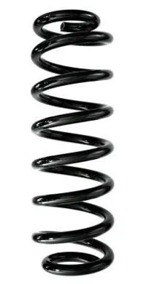 Imagen del producto de Resorte de suspensión trasero para VW Tiguan Allspace (BW2), referencia 87997