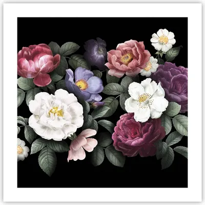 Produktbild von Poster - Poster ohne Rahmen - Blumen Blumenstrauß Komposition - 50x50 cm - Wand Bild - Wanddeko - Wandbilder - Kunstposter - Wandposter - Bilder - Kunstdruck - Wanddekoration - P2XAC50x50-5032