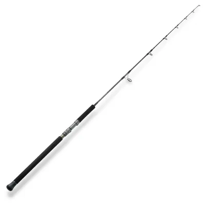 Produktbild von Hearty Rise 1,98m 180-400g Skywalker Cast - Baitcaster Reiserute