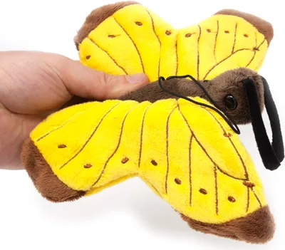 A hand is holding a plush butterfly toy.