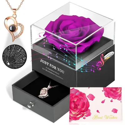 Produktbild von Geschenkset Ewige Rose mit Halskette 100 Sprachen & Spieluhr Lila