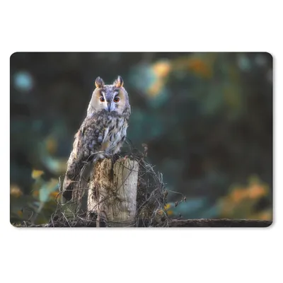 Produktbild von MuchoWow® Schreibtischunterlage Eule - Herbst - Vogel - Äste 60x40 cm - XXL Mauspad - Großes Mauspad