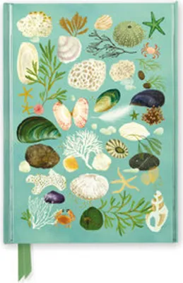 Image de Katherine Quinn : Beachcombing (Foiled Journal)