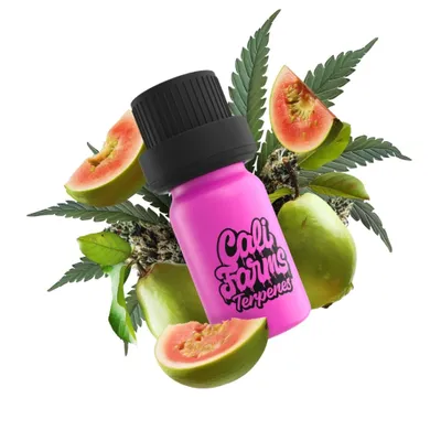Zdjęcie produktu dla Terpeny konopne Botanicals | PROFIL TERPENOWY - Guava Gelato | 1 ml