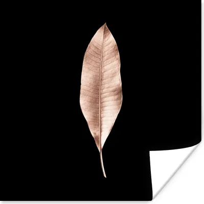 Produktbild von MuchoWow® Poster Blatt - Gold - Rosa 75x75 cm - Wand Dekoration