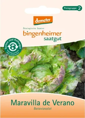 Produktbild von Bataviasalat - Maravilla de Verano