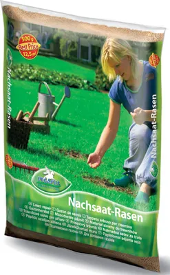 Produktbild von Pegasus Rasensamen Nachsaat-Rasen 0,5 kg für 12,5 m²