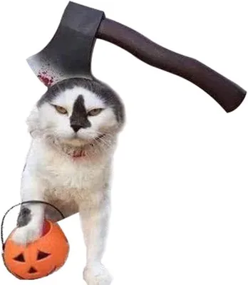 Produktbild von Hunde Halloween Stirnband, lustiges Kostüm für Katzen und kleine Hunde