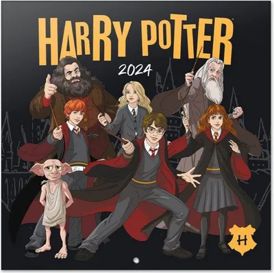 Immagine prodotto di Calendario da parete Harry Potter 2024 (30 x 30 cm)