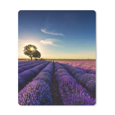 Produktbild von MuchoWow® Mauspad Mousepad Lavendel - Sonne - Baum - Blumen - Lila 19x23 cm - Mousepads - Maus Mat - Pad - Mausunterlage - Mauspads - Spielen