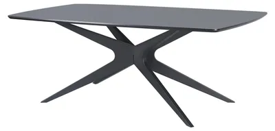 Produktbild von Esstisch >Dresden< in Schwarz, MDF - 200x76x100cm (BxHxT)