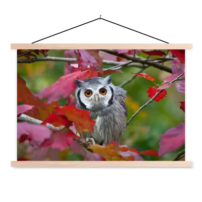 Produktbild von MuchoWow® Textilposter Eule - Vogel - Laub - Herbst 60x40 cm mit holzfarbenen Rahmen - Bilder